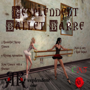 Resplendent Ballet Barre
